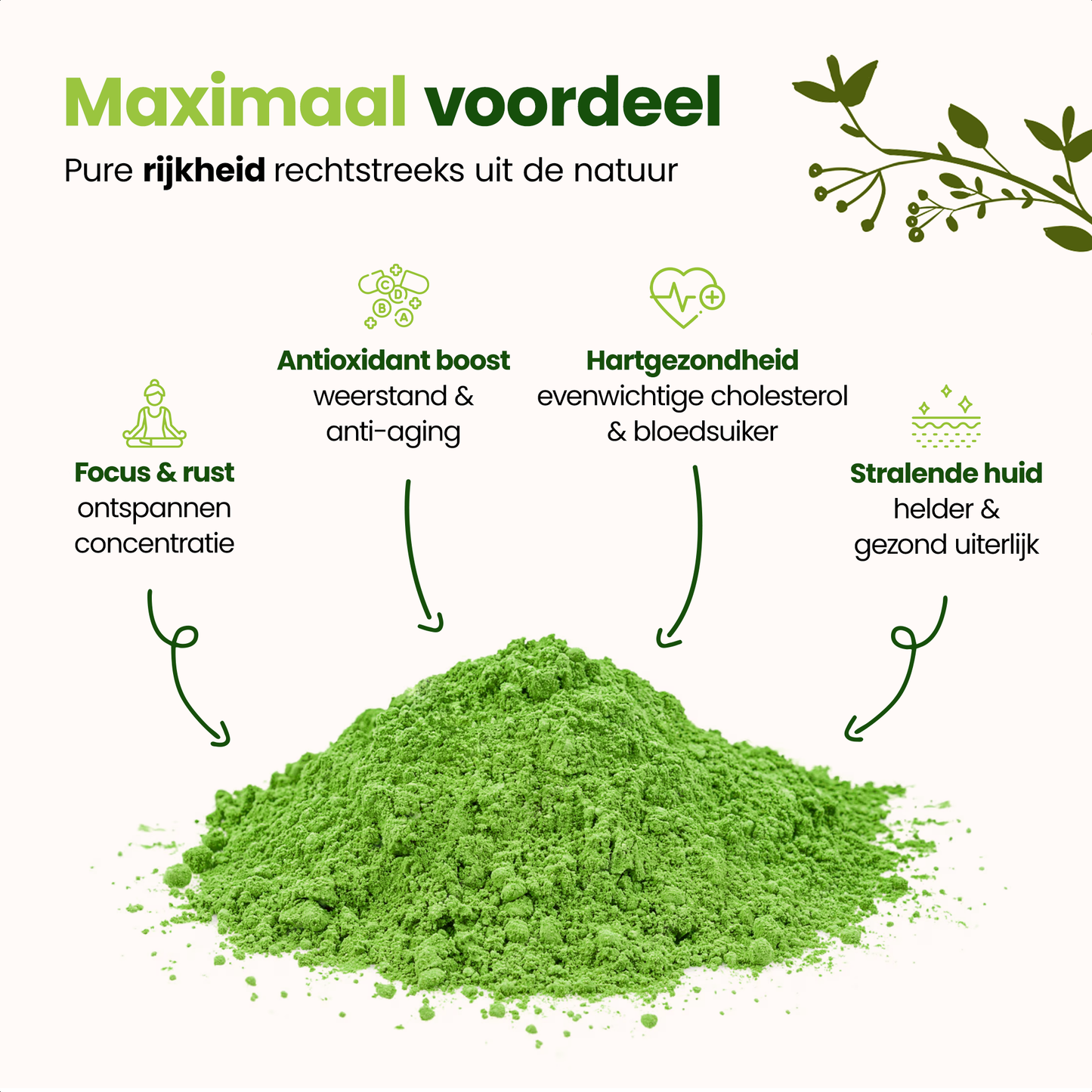 MOA Vibe Ceremoniële Matcha Poeder 50G