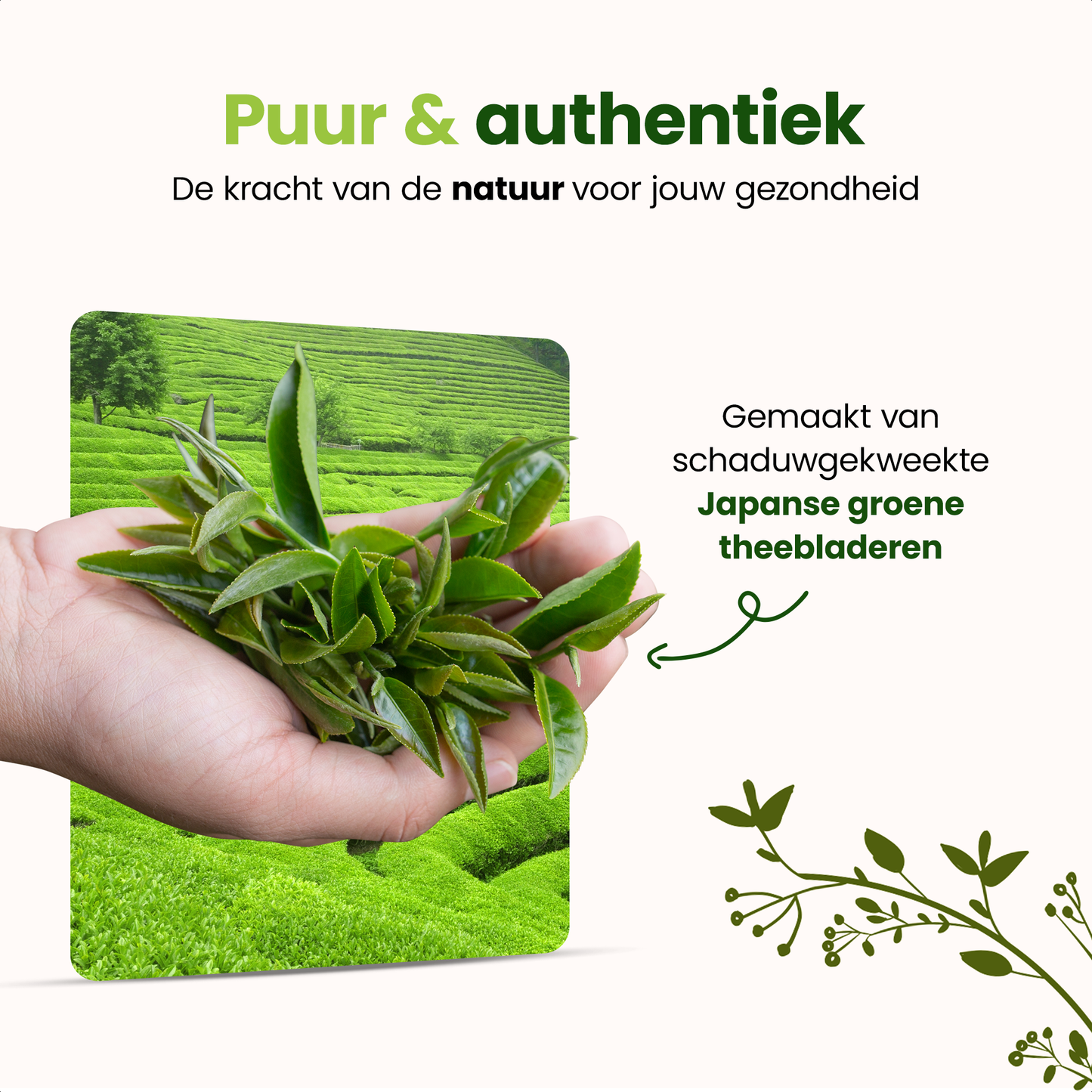 MOA Vibe Ceremoniële Matcha Poeder 50G