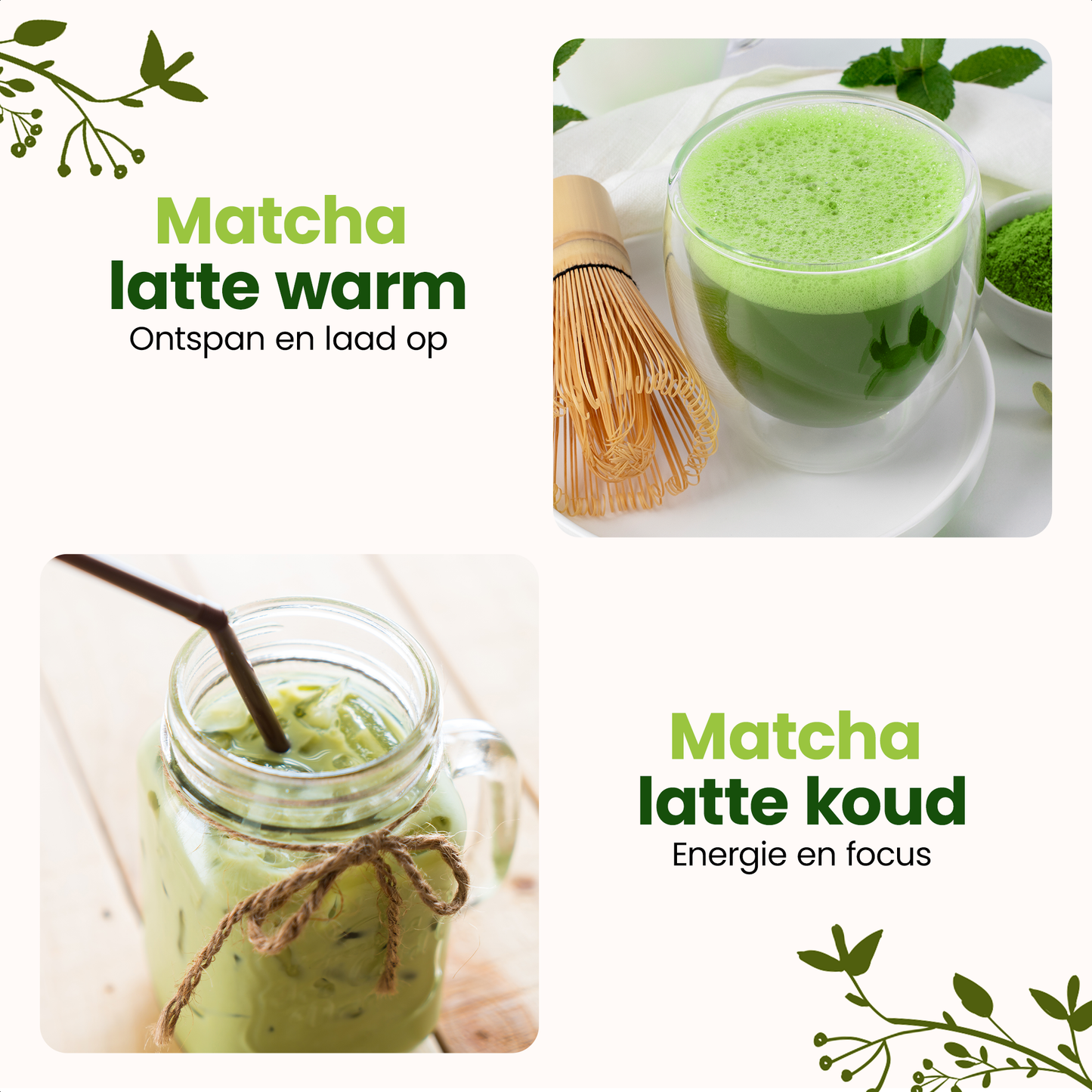 MOA Vibe Ceremoniële Matcha Poeder 50G